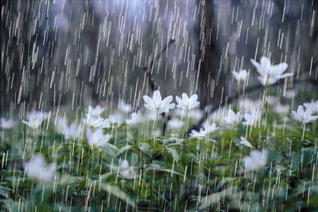 Inilah 5 Filosofi Hujan Untuk Memaknai Arti Kehidupan