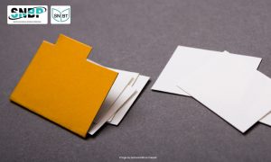 Inilah 10 Portofolio SNBT dan SNBP yang Perlu Sobat Persiapkan