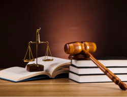Kuliah Hukum S1, Membentuk Profesional yang Siap Menghadapi Dunia Hukum