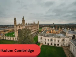 Mengenal Kurikulum Cambridge: Konsep, Jenjang, Keunggulan, dan Penerapannya di Indonesia
